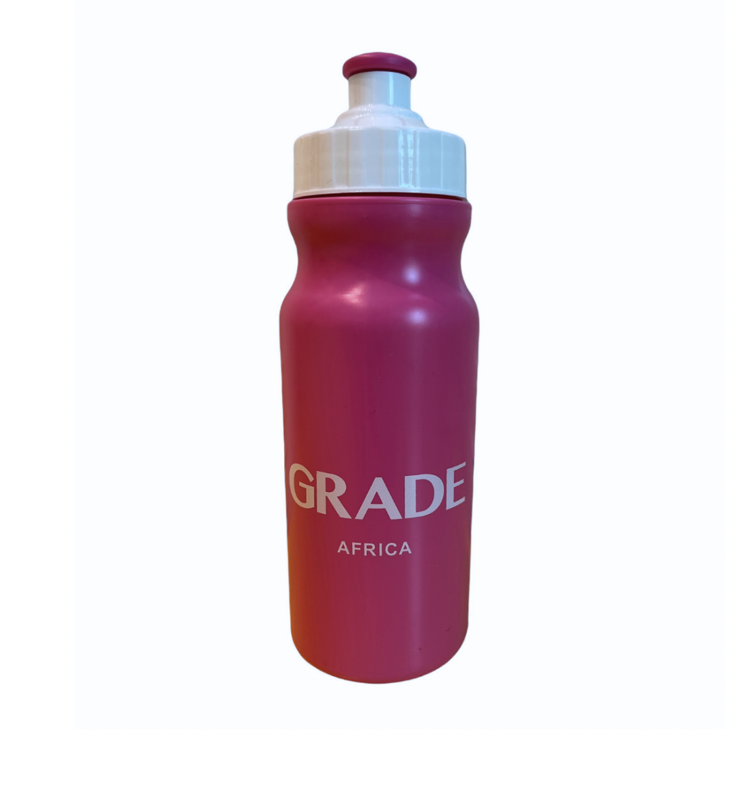 300ml Water Bottle - Pink