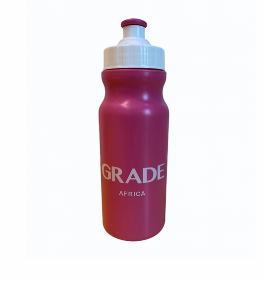 300ml Water Bottle - Pink